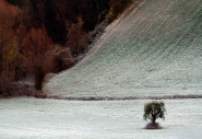 Nome File=©_Saro_Di_Bartolo-_Nine_Seasons-7.jpg
Dimensione File=376KB
Dimensioni=1024x707
Data aggiunta=Mag 16, 2010 ©_Saro_Di_Bartolo-_Nine_Seasons-7.jpg
