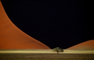 ©_Saro_Di_Bartolo_Namib-Desert-1024mm.jpg