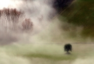 Nome File=©_Saro_Di_Bartolo__misty_valley_127b_950mm.jpg
Dimensione File=505KB
Dimensioni=950x652
Data aggiunta=Gen 09, 2013 ©_Saro_Di_Bartolo__misty_valley_127b_950mm.jpg