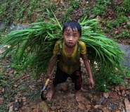 Saro-Di-Bartolo-vietnam-asia-child-lavoro-pioggia-rain-work-bambino-erba-grass.jpg