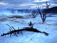 Wyoming_Yellowstone_Mammoth_Hot_Springs-9.jpg