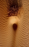 Nome File=sand.jpg
Dimensione File=68KB
Dimensioni=305x500
Data aggiunta=Dic 28, 2009 sand.jpg