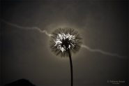 Nome File=A-Big-Hard-Sun.jpg
Dimensione File=110KB
Dimensioni=800x533
Data aggiunta=Mag 29, 2010 A-Big-Hard-Sun.jpg