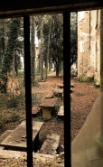 Nome File=giardino.jpg
Dimensione File=282KB
Dimensioni=494x800
Data aggiunta=Mar 18, 2010 giardino.jpg