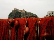 Nome File=Ischia.jpg
Dimensione File=285KB
Dimensioni=900x675
Data aggiunta=Mag 14, 2010 Ischia.jpg