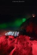 Nome File=Cascata-delle-Marmore-Tricolore-02.jpg
Dimensione File=351KB
Dimensioni=669x1000
Data aggiunta=Mar 30, 2011 Cascata-delle-Marmore-Tricolore-02.jpg