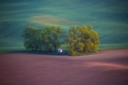 Nome File=_H1B0537-moravia.jpg
Dimensione File=539KB
Dimensioni=900x600
Data aggiunta=Mag 24, 2016 _H1B0537-moravia.jpg