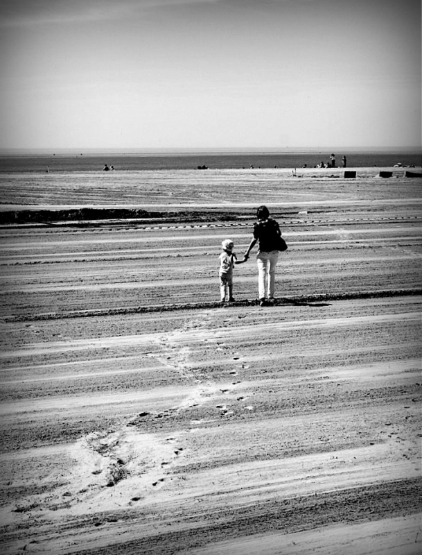 Clicca per l'immagine full size
