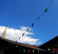 DSC_0741.jpg DSC_0741.jpg
