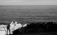 Nome File=innamorati.jpg
Dimensione File=106KB
Dimensioni=800x501
Data aggiunta=Ago 04, 2010 innamorati.jpg