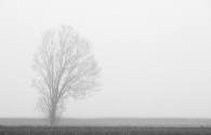 Solo_fra_la_nebbia_[1600x1200].jpg