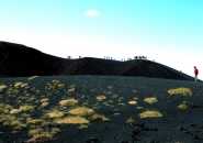 Nome File=etna_aci_catania_sett_2011_038.JPG
Dimensione File=328KB
Dimensioni=700x495
Data aggiunta=Set 02, 2011 etna_aci_catania_sett_2011_038.JPG