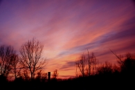 IMG_01680_W.jpg
