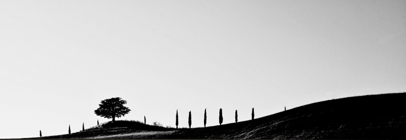 Clicca per l'immagine full size