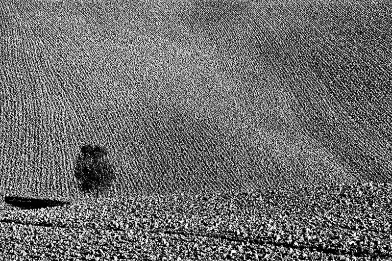 Clicca per l'immagine full size