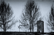 alberi_e_campanile_mura_LU_cyanotype_MM_c.jpg