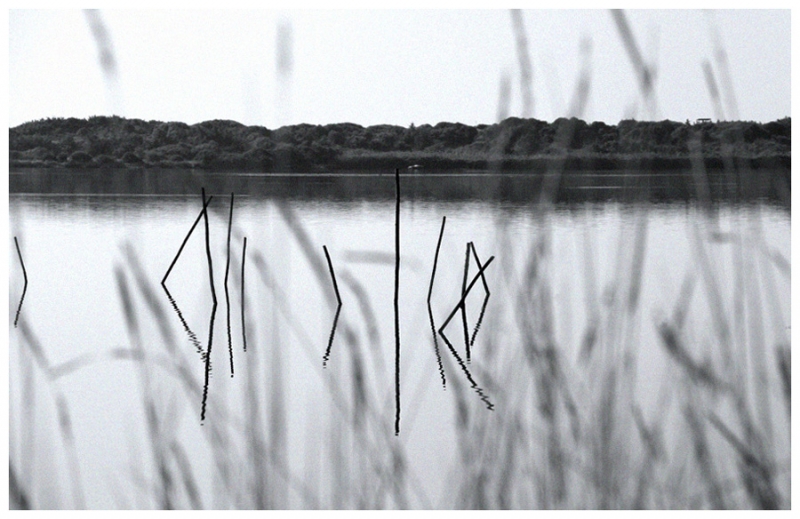 Clicca per l'immagine full size