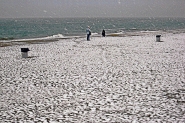 Nome File=Ostia_lido.jpg
Dimensione File=386KB
Dimensioni=1000x667
Data aggiunta=Dic 17, 2010 Ostia_lido.jpg