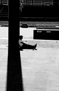 Nome File=siesta.jpg
Dimensione File=333KB
Dimensioni=588x900
Data aggiunta=Nov 21, 2010 siesta.jpg