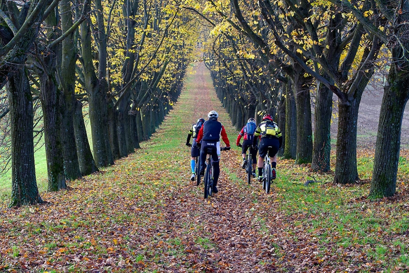 Clicca per l'immagine full size