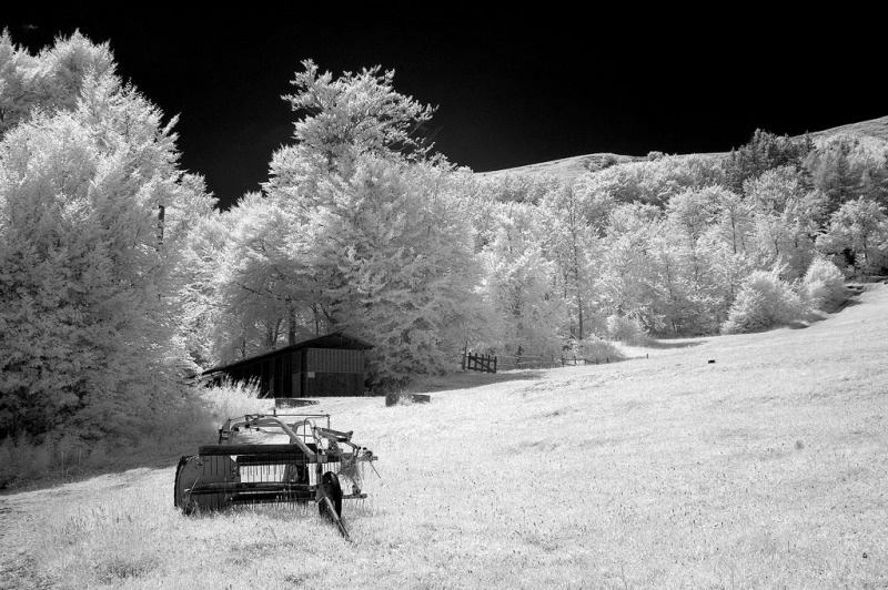Clicca per l'immagine full size
