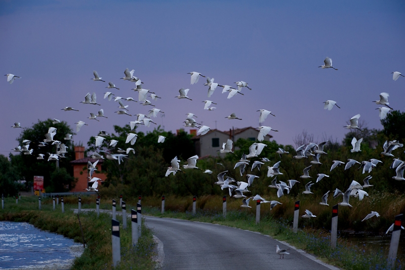 Clicca per l'immagine full size
