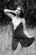 MM2904.jpg MM2904.jpg