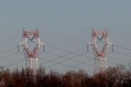 MM3185.jpg