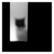 Nome File=alla_porta.JPG
Dimensione File=79KB
Dimensioni=565x565
Data aggiunta=Giu 24, 2010 alla_porta.JPG