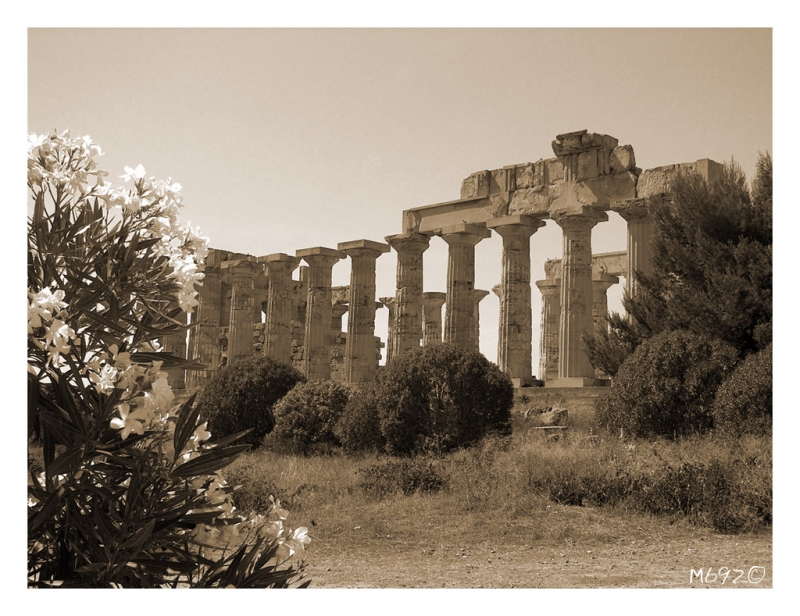 Clicca per l'immagine full size