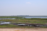 Botswana_-_Chobe_river.jpg