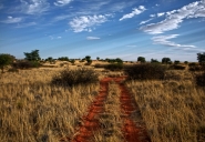 Nome File=My_road.jpg
Dimensione File=499KB
Dimensioni=1100x763
Data aggiunta=Ago 08, 2012 My_road.jpg