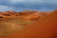 Namib.jpg