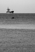 Nome File=Il_naufrago.jpg
Dimensione File=277KB
Dimensioni=533x800
Data aggiunta=Set 25, 2010 Il_naufrago.jpg