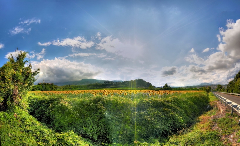 Clicca per l'immagine full size