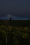 Nome File=Rising_moon_For~0.jpg
Dimensione File=72KB
Dimensioni=519x780
Data aggiunta=Lug 28, 2010 Rising_moon_For~0.jpg
