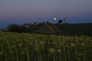 Nome File=Rising_moon_For.jpg
Dimensione File=108KB
Dimensioni=780x519
Data aggiunta=Lug 27, 2010 Rising_moon_For.jpg