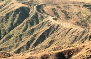 IMG_0441m.jpg