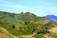 IMG_1753.jpg