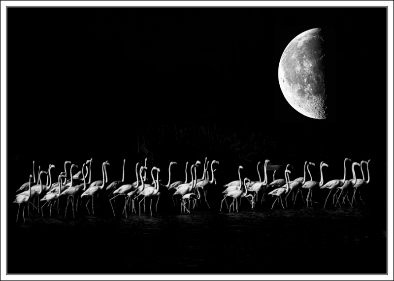 Clicca per l'immagine full size