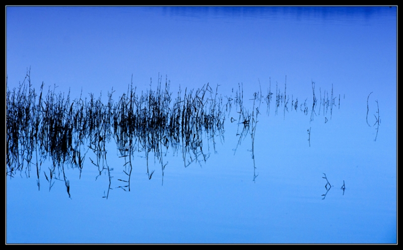 Clicca per l'immagine full size