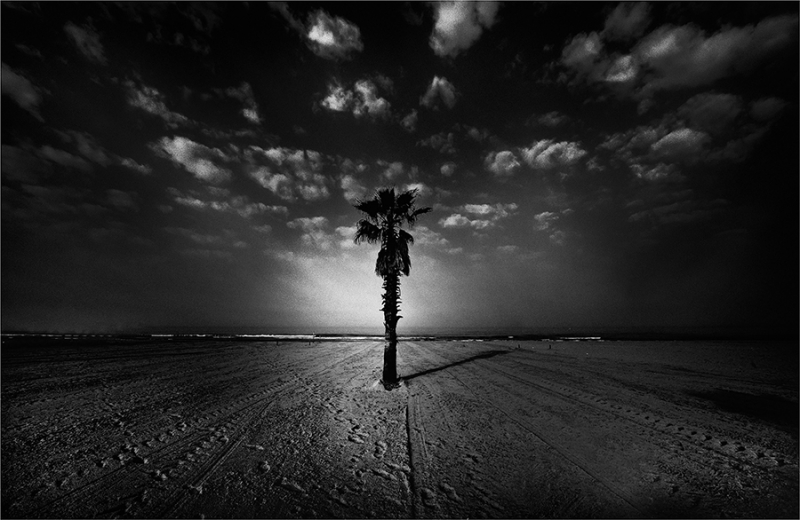 Clicca per l'immagine full size
