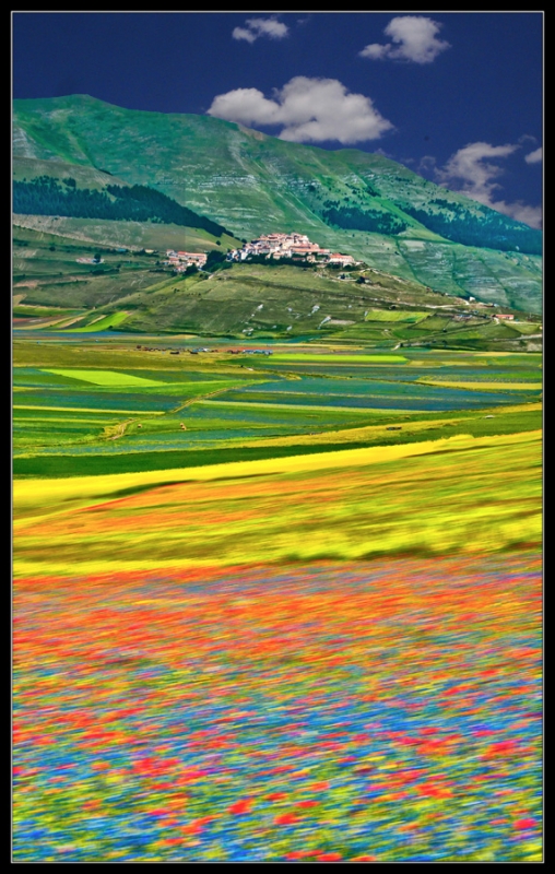 Clicca per l'immagine full size