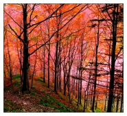 Nome File=autunno-di-fuoco1.jpg
Dimensione File=289KB
Dimensioni=900x826
Data aggiunta=Nov 21, 2010 autunno-di-fuoco1.jpg