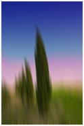 Nome File=i_cipressi.jpg
Dimensione File=132KB
Dimensioni=470x700
Data aggiunta=Lug 18, 2010 i_cipressi.jpg