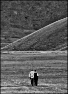 Nome File=ma_dove_vanno.jpg
Dimensione File=563KB
Dimensioni=734x1000
Data aggiunta=Gen 16, 2012 ma_dove_vanno.jpg