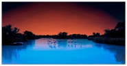 Nome File=tramonto-in-camargue-old.jpg
Dimensione File=282KB
Dimensioni=900x473
Data aggiunta=Nov 16, 2010 tramonto-in-camargue-old.jpg