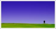 Nome File=uniko_e_solo.jpg
Dimensione File=145KB
Dimensioni=730x388
Data aggiunta=Giu 28, 2010 uniko_e_solo.jpg