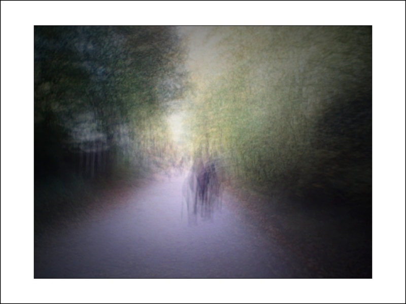 Clicca per l'immagine full size