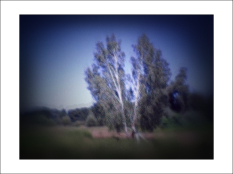 Clicca per l'immagine full size